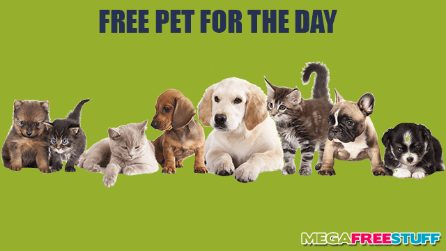 Get a Free Pet for the Day