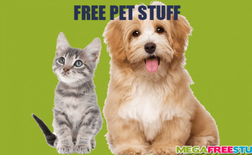 Some Easy Ways to Get Free Pet Stuff