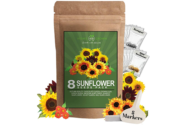 Free Sunflower Seeds