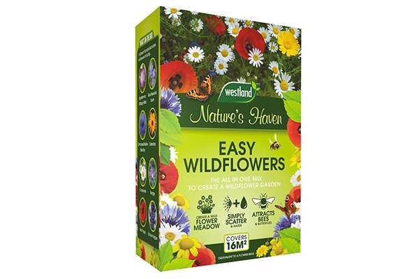 Free Air Wick Wildflowers Seeds
