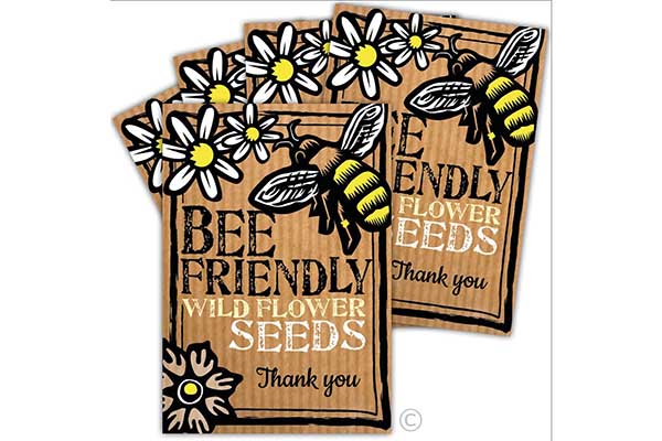 Free Twinkl Bee Seeds