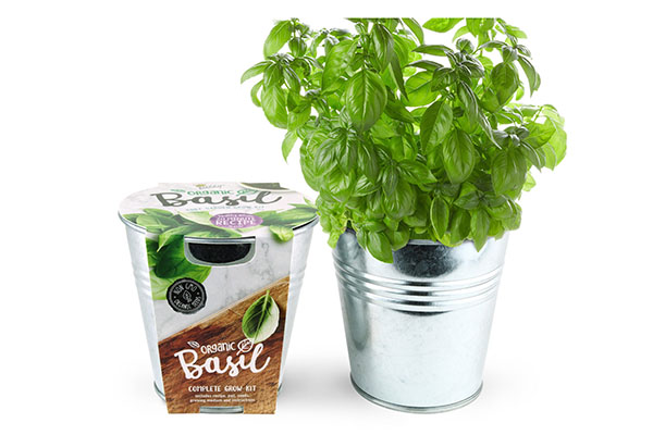 Free Basil Seed Kit