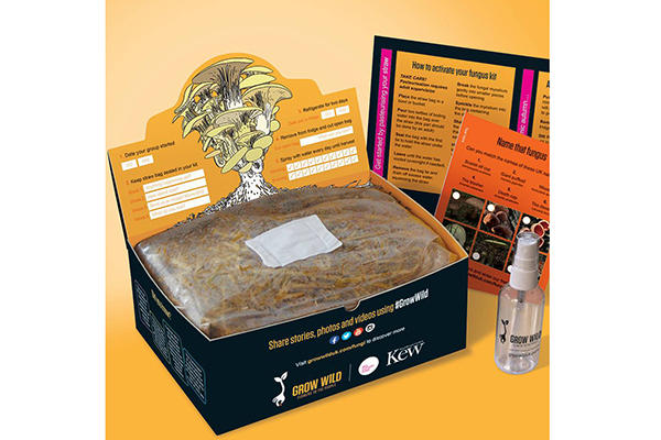 Free Grow Wild Mushroom Grow Kit