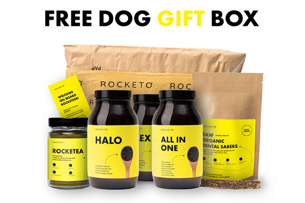 Free Rocketo Gift Box