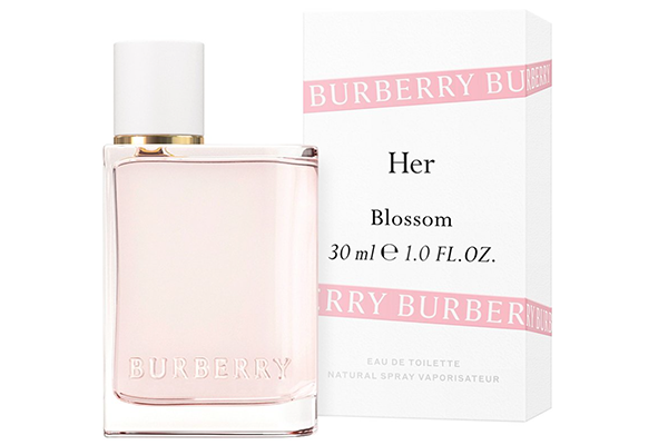 Free Burberry Perfume
