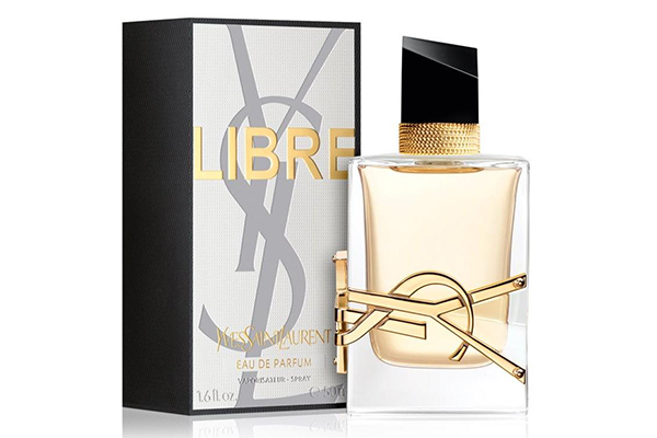 Free YSL Perfume