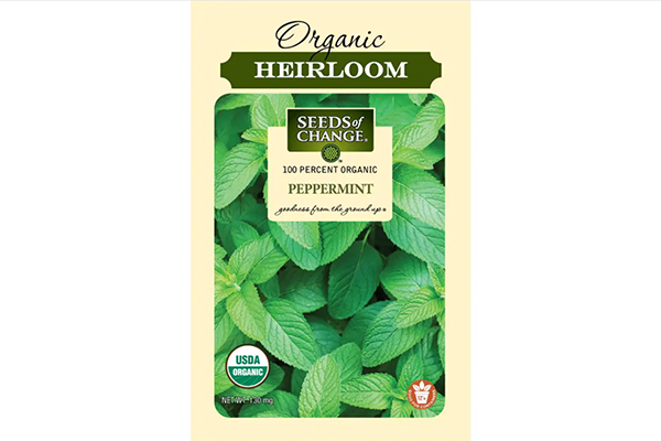 Free Mint Seeds Pack