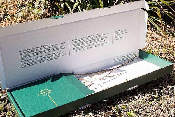 Free Woodland Trust Tree Kit