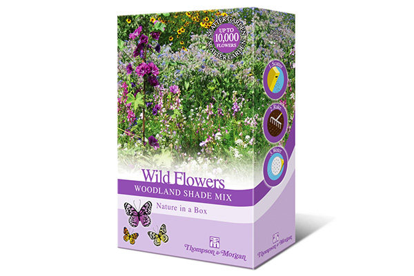Free Airwick Wildflower Seed Sachet