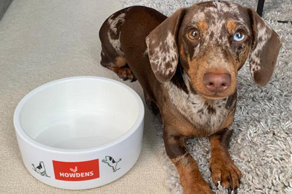 Free Howdens Dog Bowl