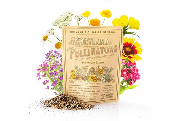 Free Pretty Wild Seeds