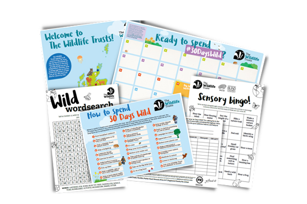 Free Wild Life Trust Activity Pack