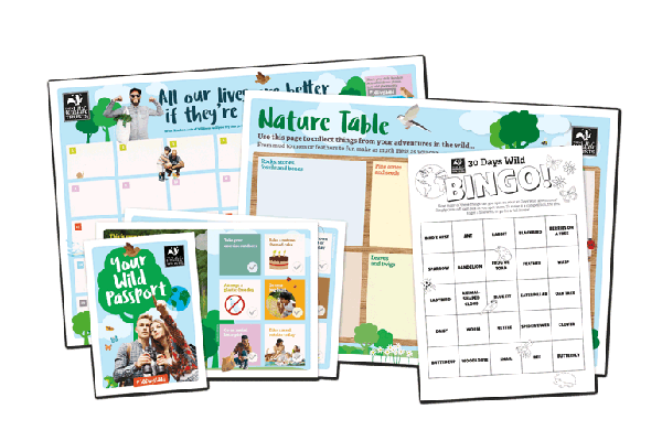 Free Wildlife Trust Seed Activity Pack