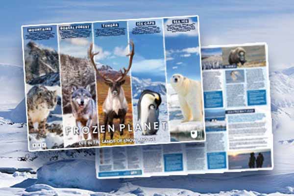 Free Frozen Planet II Poster