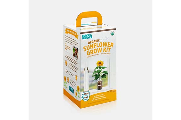 Free Sunflower Seed Kit