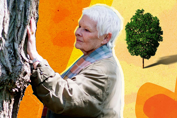 Free New Forest Tree