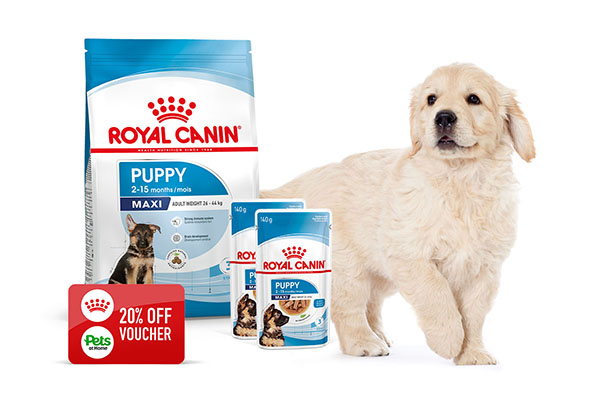Free Royal Canin Puppy Kit
