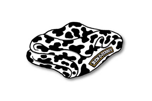 Free Ben & Jerry’s Blanket